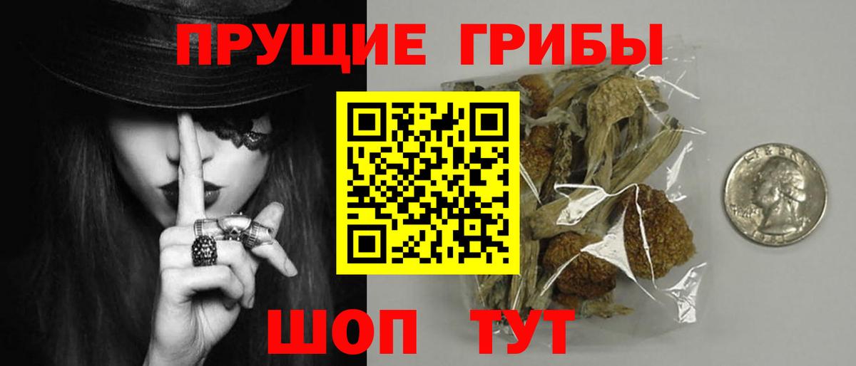 Псилоцибиновые грибы мухоморы  Вход с VPN  где найти наркотики  Рыбинск  Галлюциногенные грибы прущие грибы 